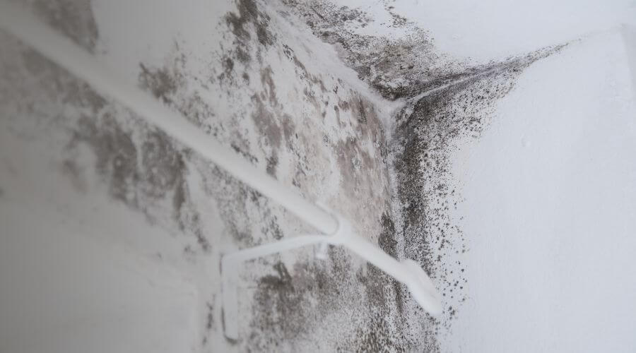 Why choose SurgeEase Crew for water damage restoration in Covina